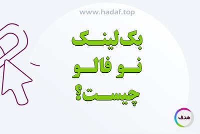 بک لینک نوفالو چیست؟ هرآنچه باید بدانید + نکات مهم سئو